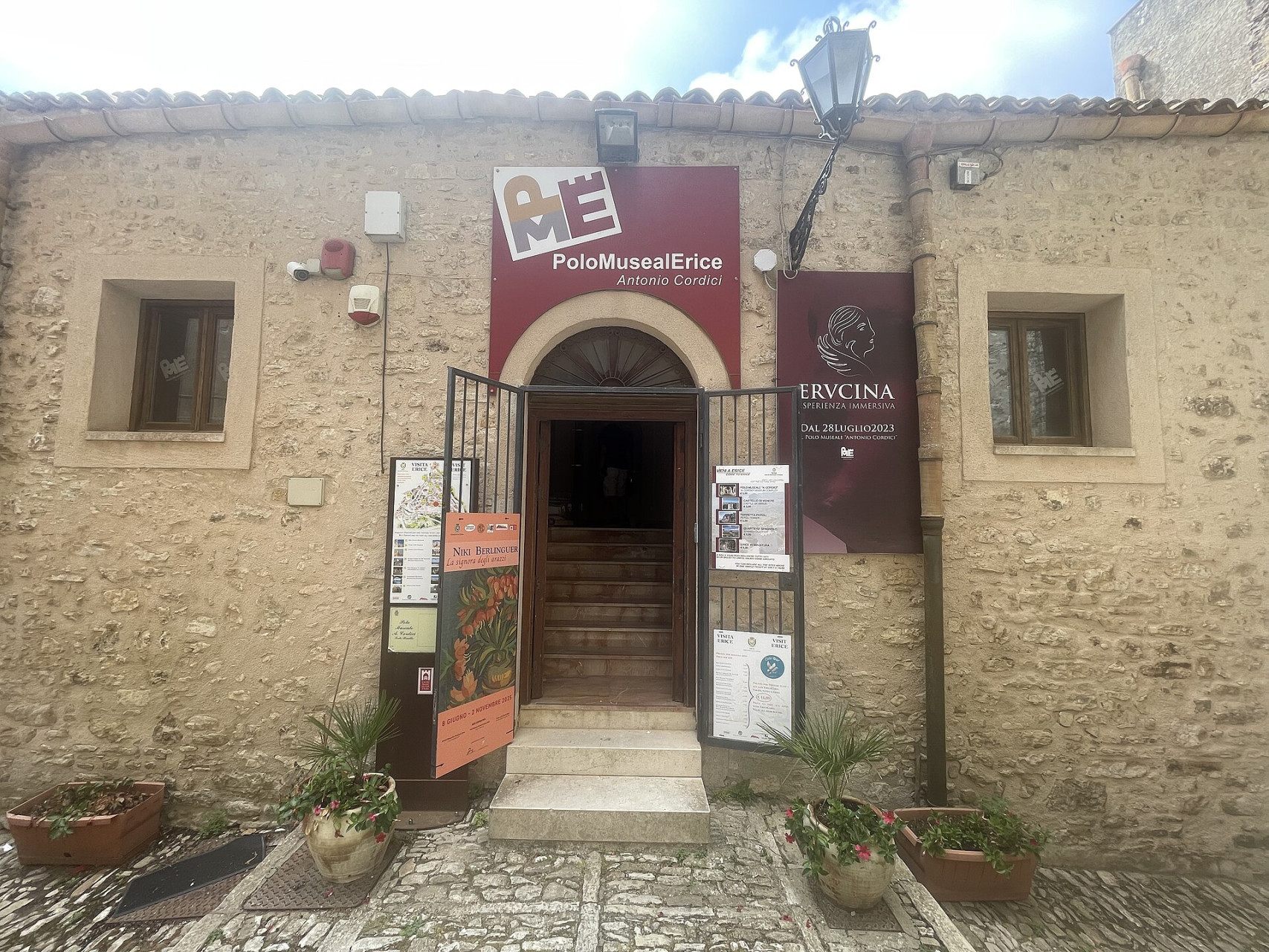 polomusealea cordici