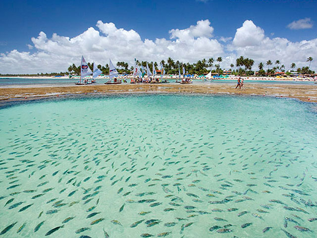 porto de galinhas 393 g piscinas naturais