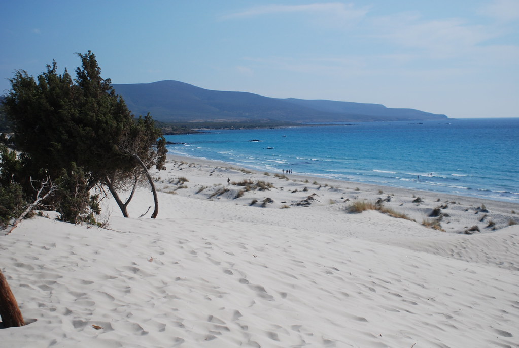 porto pino 1
