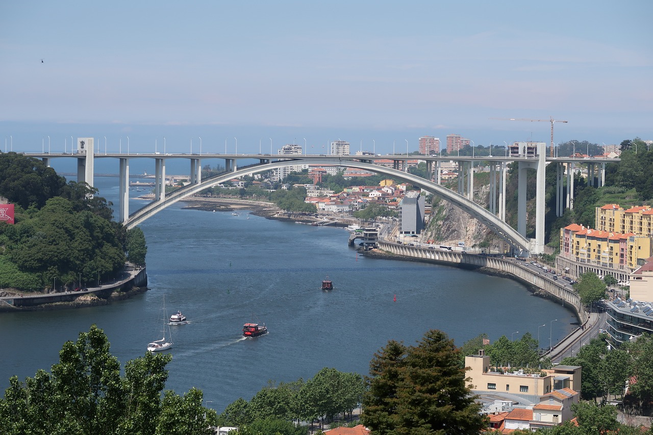porto ponte douro