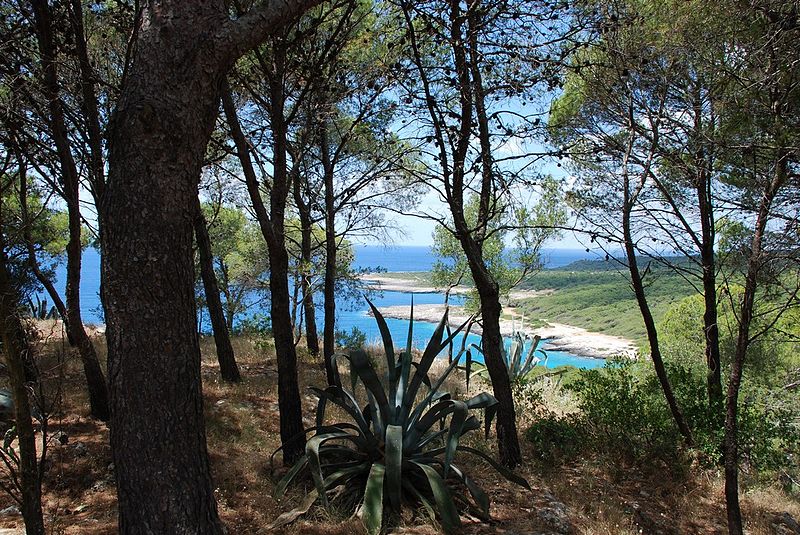 spiaggia porto selvaggio