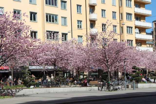 primavera a stoccolma