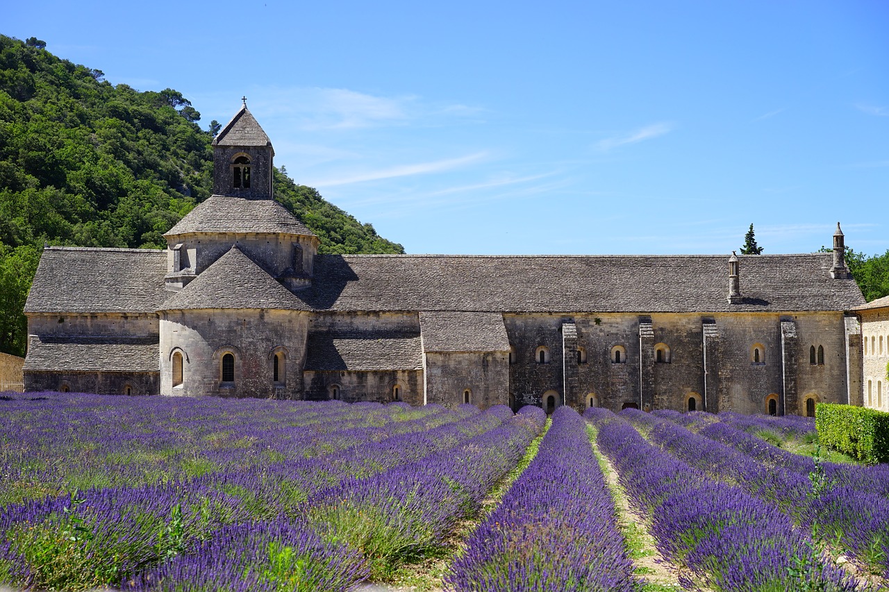 campi di lavanda in provenza