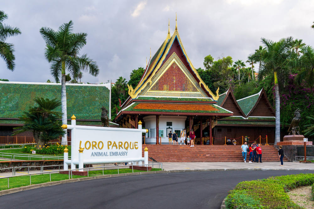 puerto de la cruz spain loro parque tenerife front view