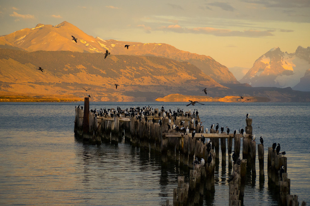 puerto natales chile