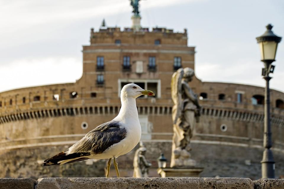 quando visitare castel sant angelo