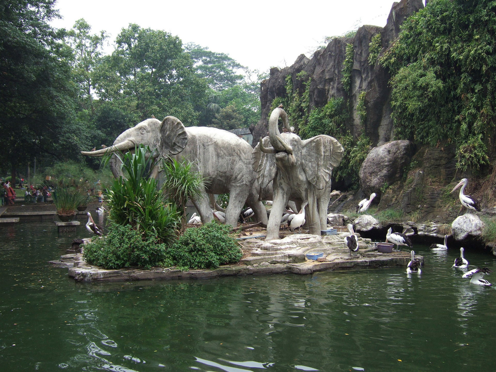 ragunanzoojakartaindonesia