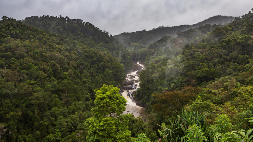 ranomafana madagascar