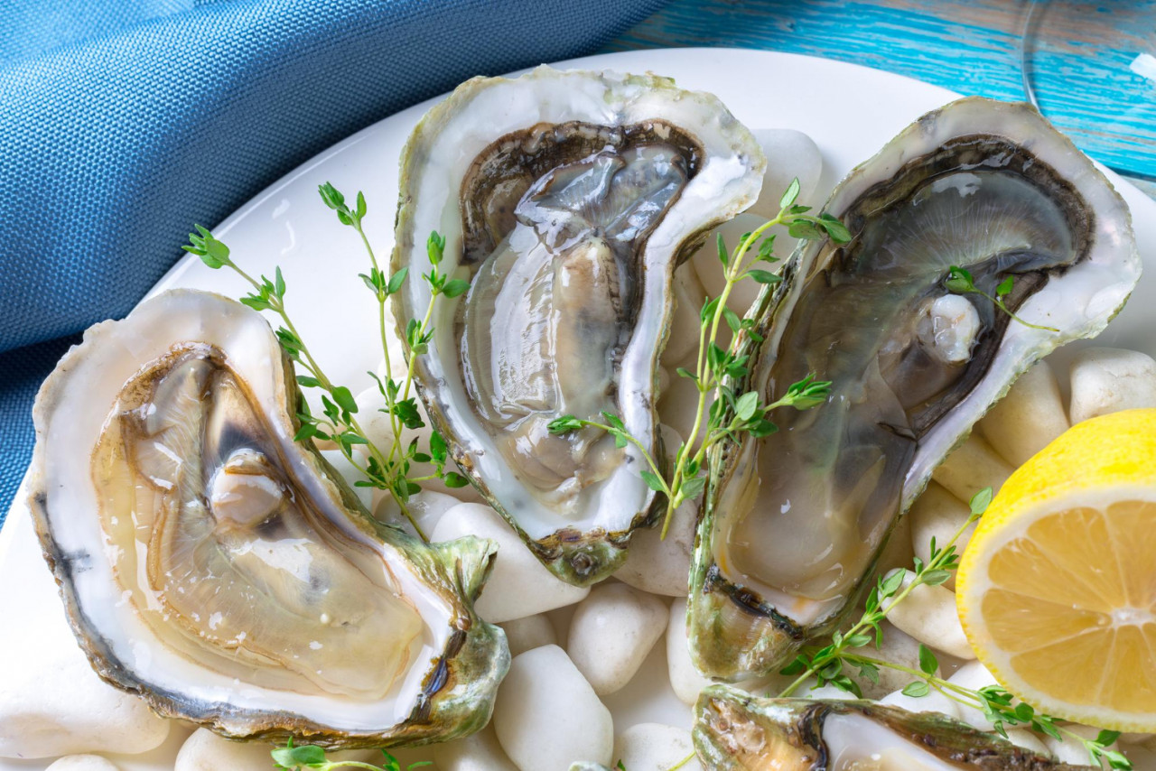 raw oysters with lemon ice