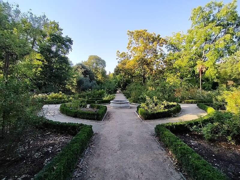 real jardin botanico de madrid 1