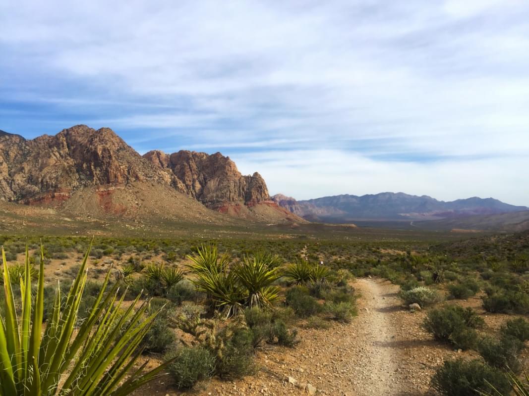 red rock canyon parco nazionale