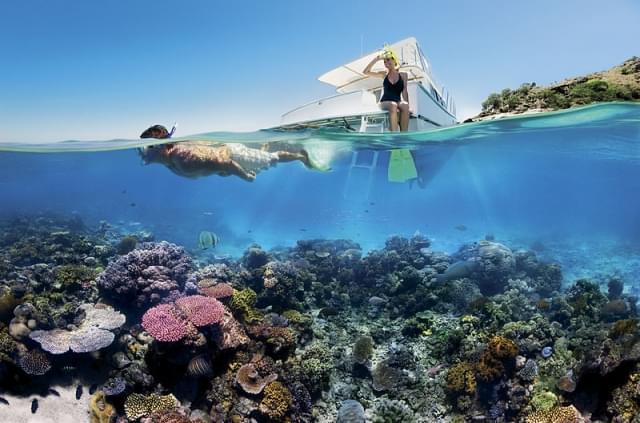 reef snorkelling on the great barrier reef 1