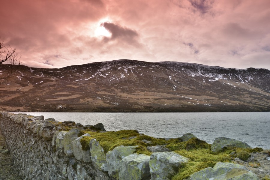 20 parco cairngorms scozia