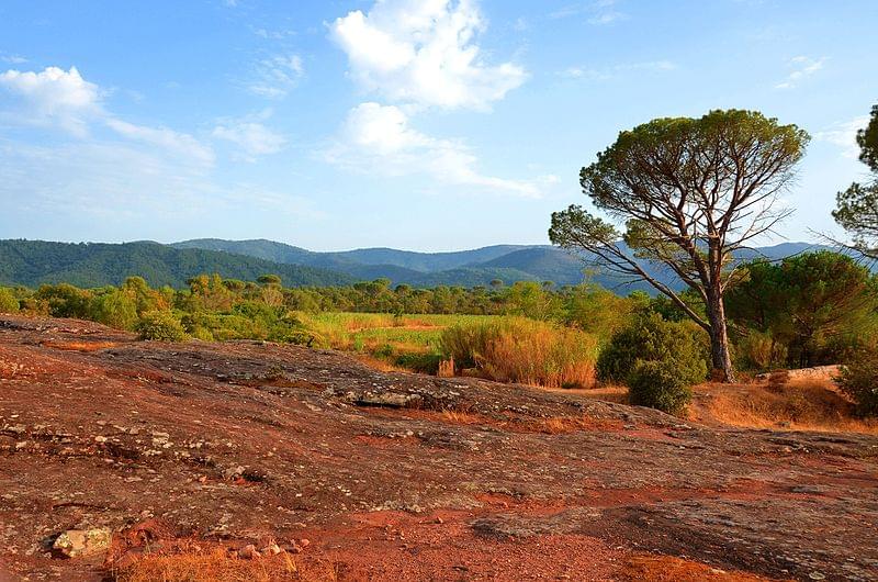 reserve naturelle de la plaine des maures