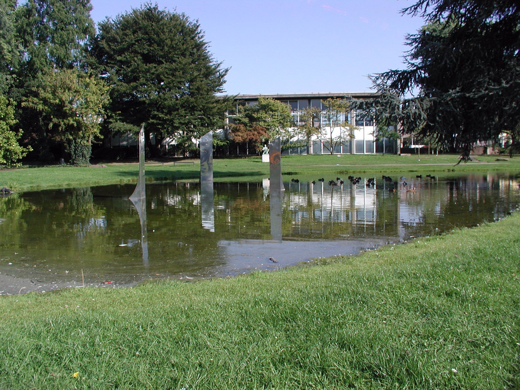 laghetto dentro il rheinpark di Colonia con alberi