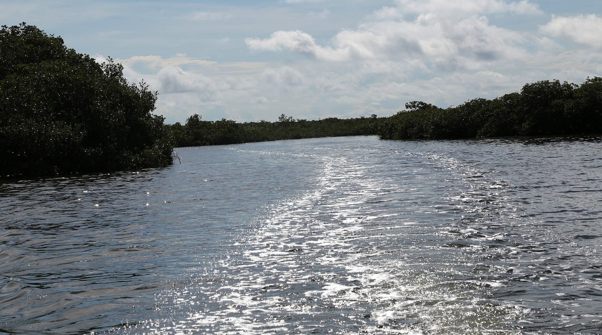 rio boca bacalar chico panoramio 11
