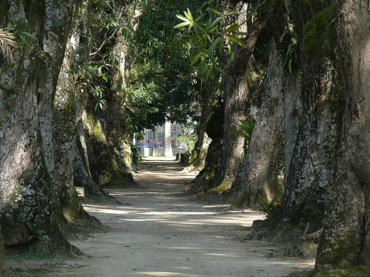 rio jardin botanico