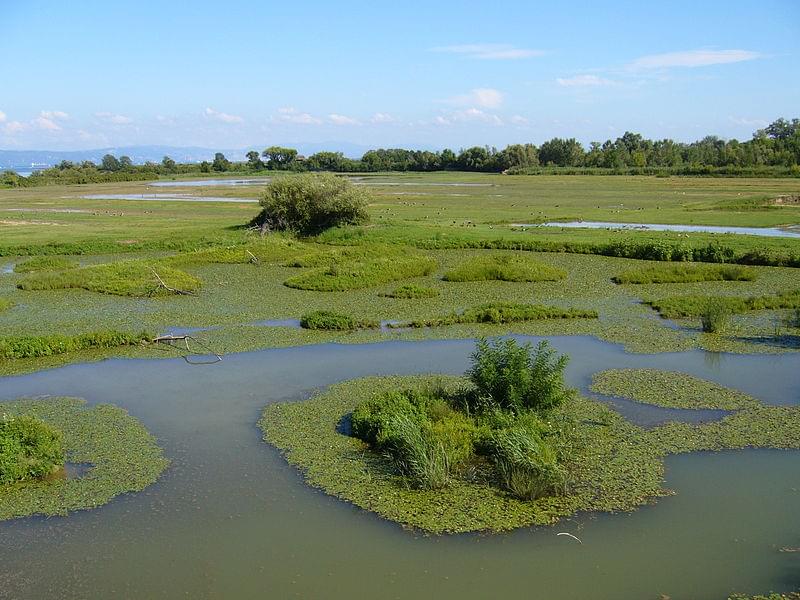 riserva naturale della foce dell isonzo