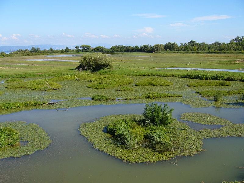 riserva naturale della foce dell isonzo