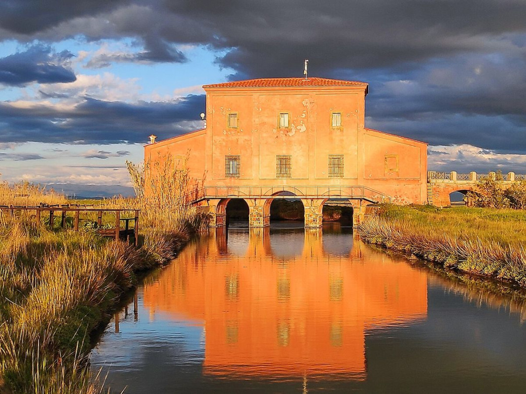 riserva naturale diaccia botrona follonica - foto di gloria dei60