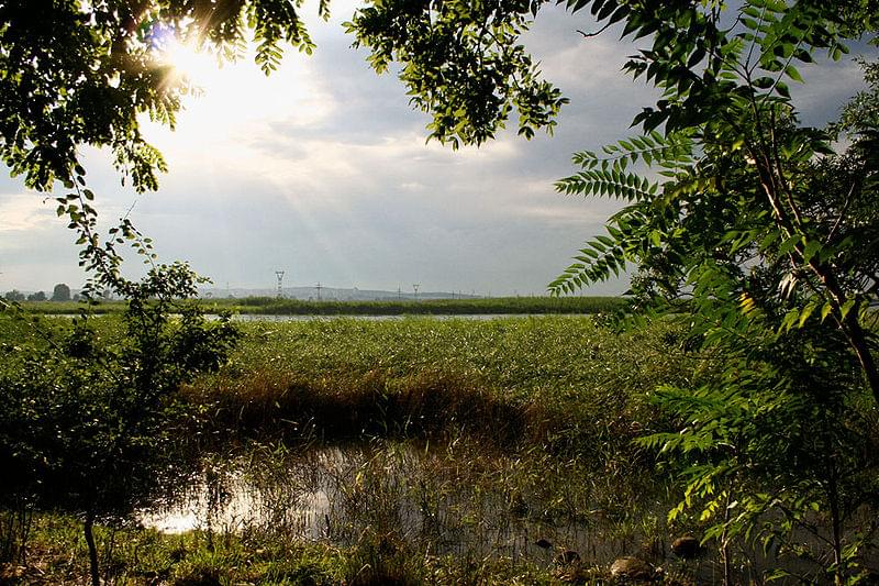 riserva naturale poda