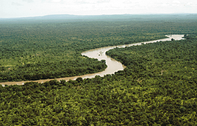 river gambia