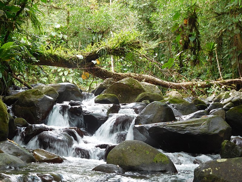 riviere parc national de la guadeloupe