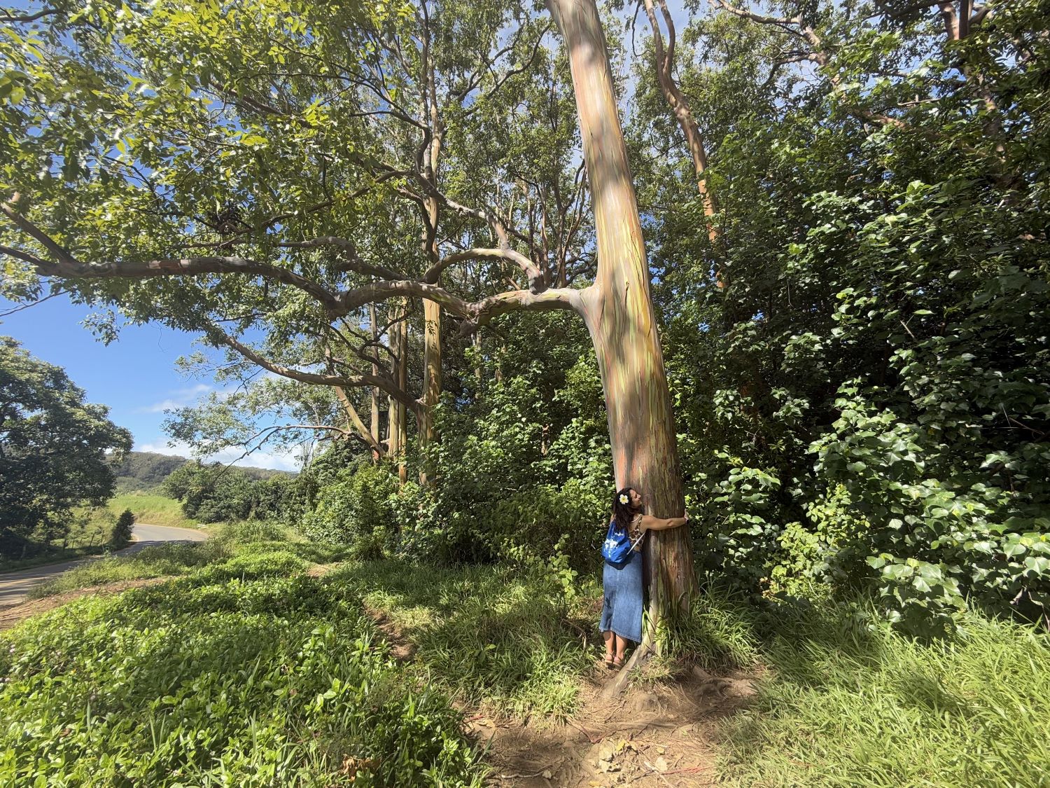 road to hana 1