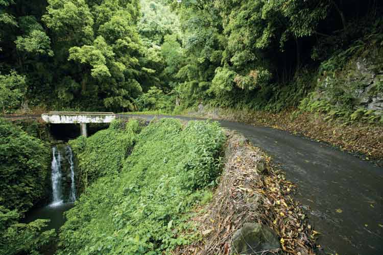 road to hana panoramio