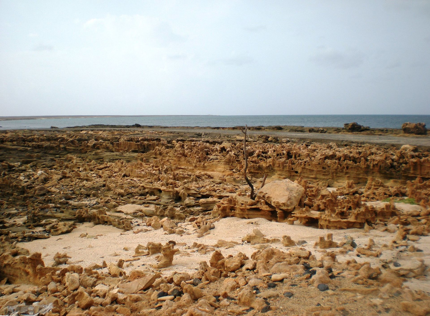 lion hill sal 1