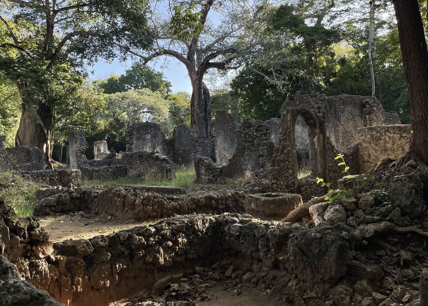 rovine di gede