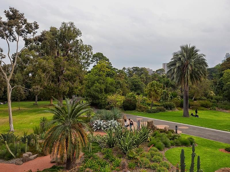 royal botanic gardens melbourne 1