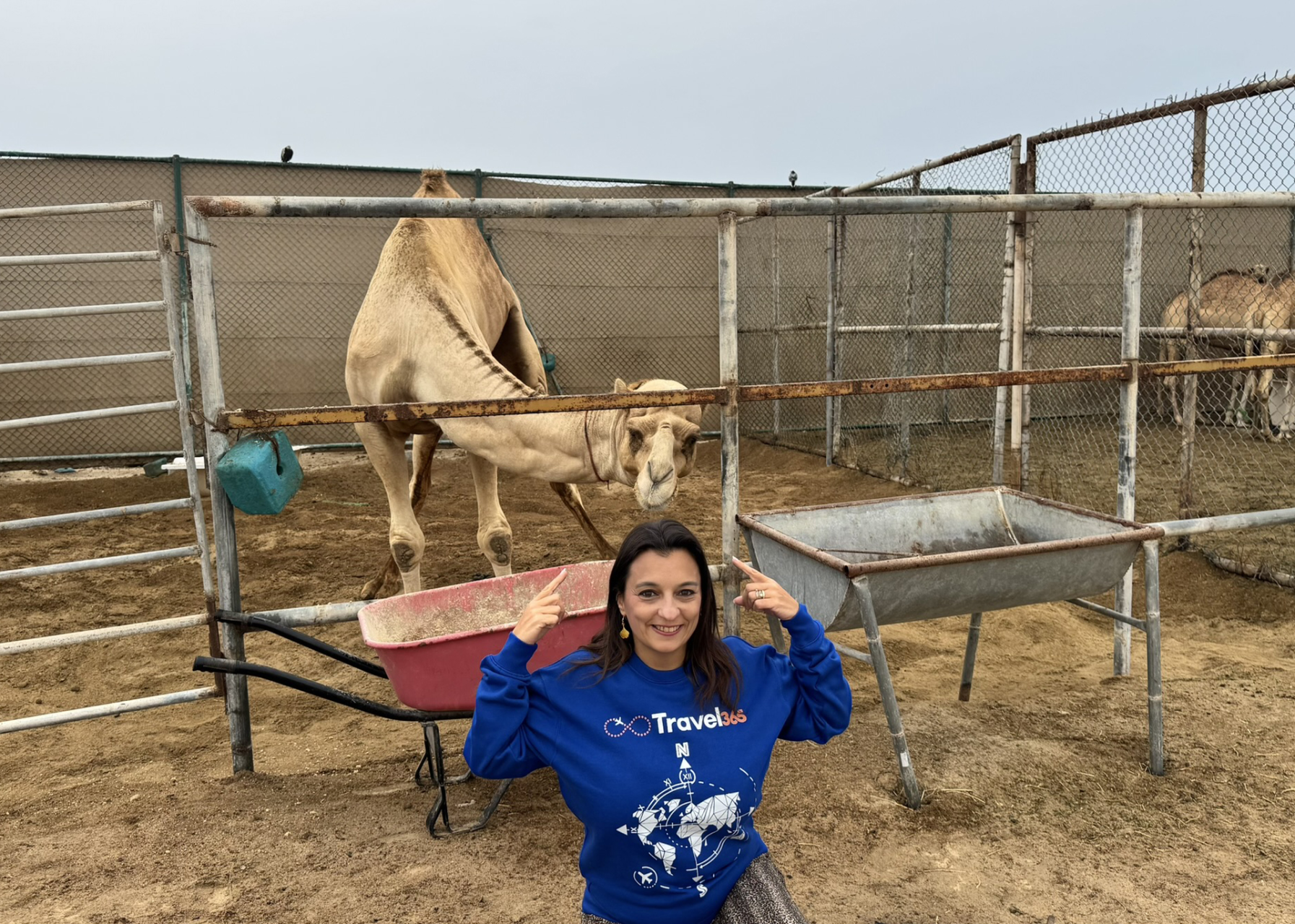 royal camel farm2