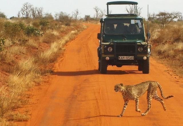 Safari allo Tsavo National Park, Kenya: quando andare e cosa vedere