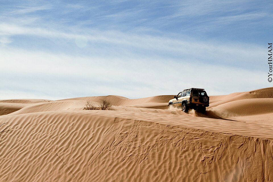 Distesa di dune di sabbia bianca nel deserto di Douz.