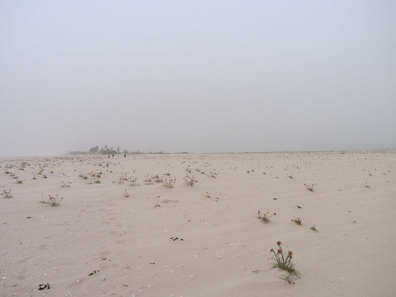 langue de barbarie Saint Louis Senegal