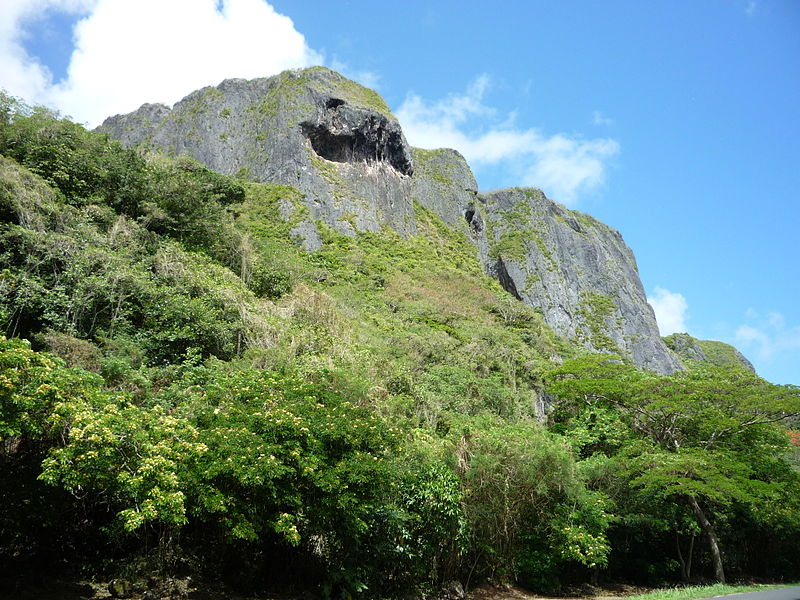 saipan suicide cliff 2011
