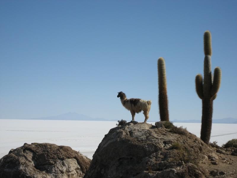 20 - Salar de Uyuni - 10.582 km²