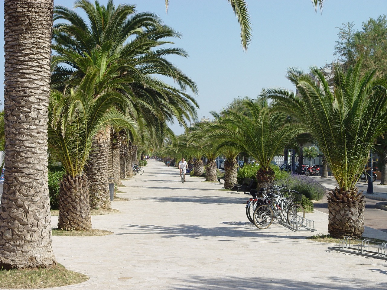 san benedetto del tronto lungomare 2