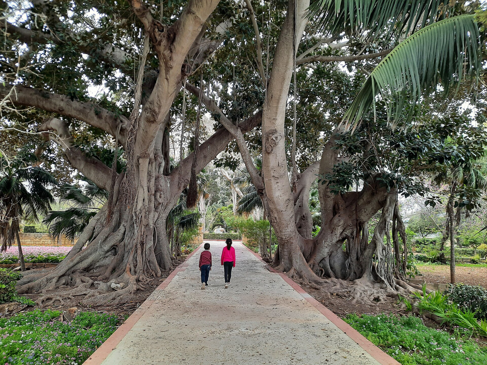 sanantongardens centralareamalta
