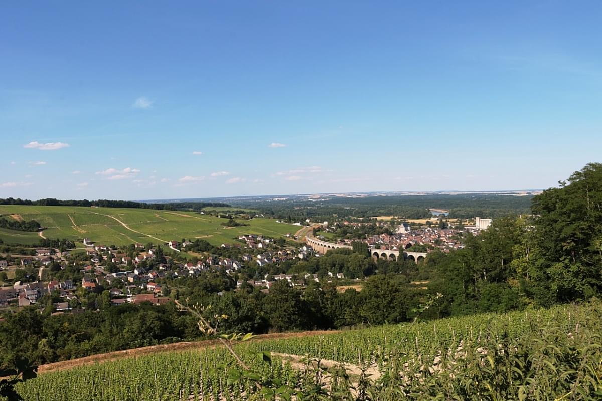 sancerre loira vigneto vite vino