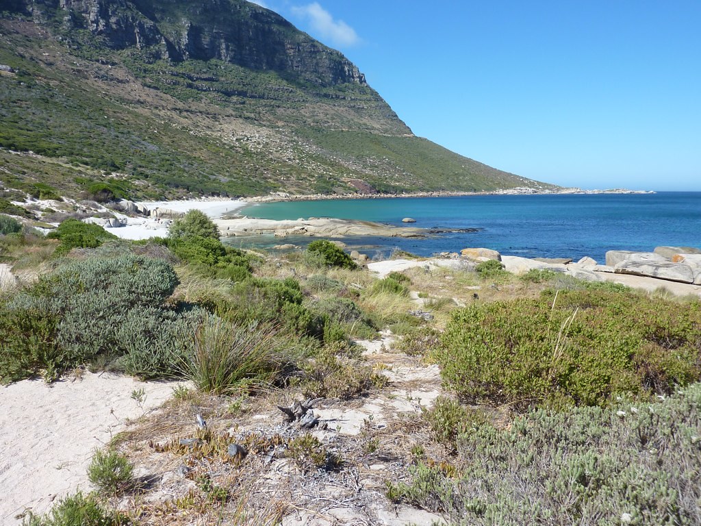 sandy bay nudist beach cape town