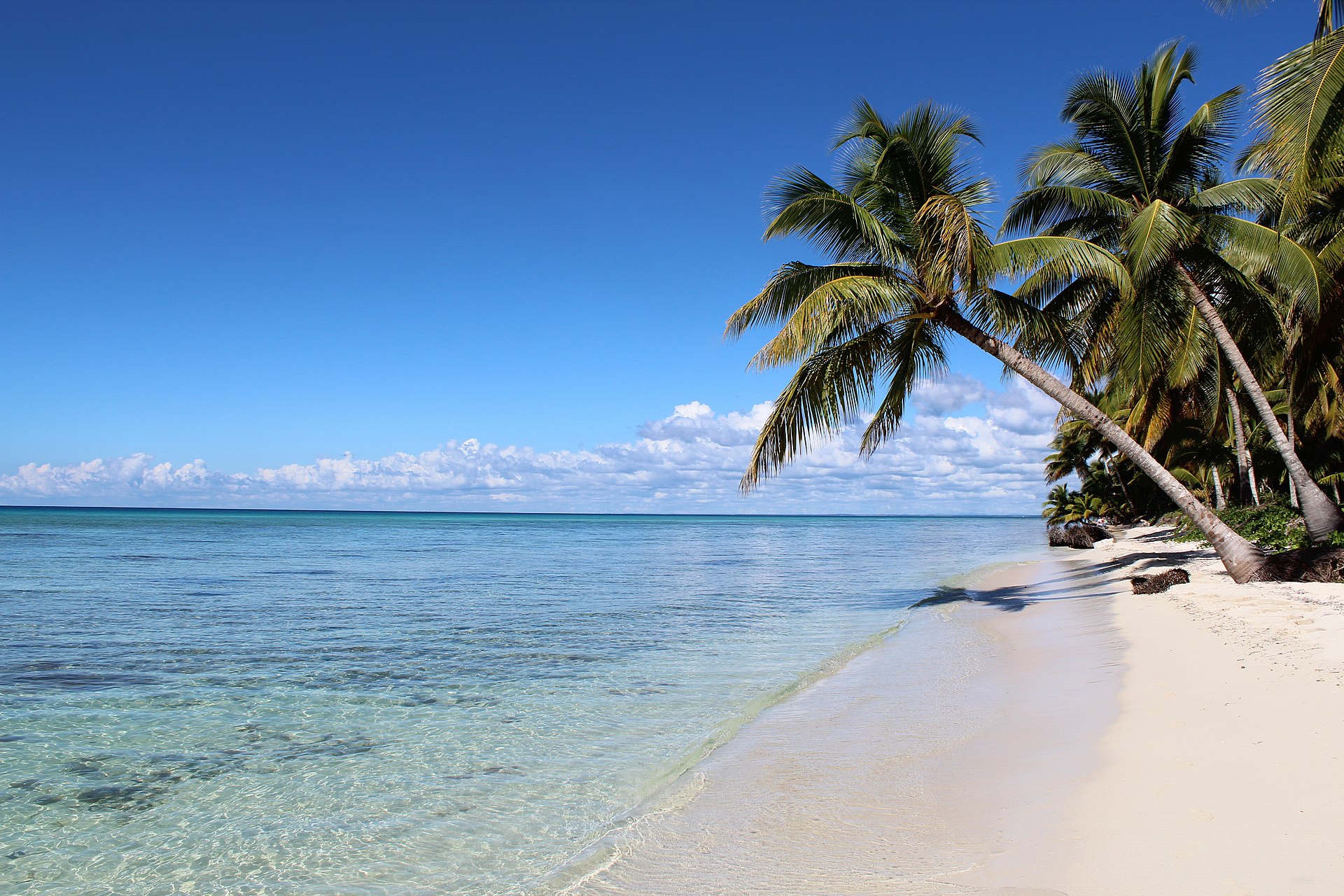 saona island december 2020