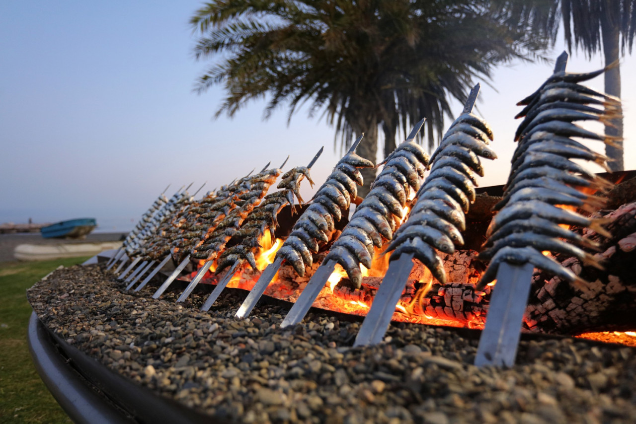 sardine thickness with fire sunset typical malaga city mediterranean food