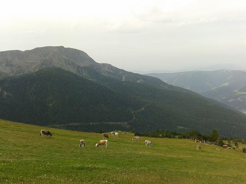 sarentino trentino