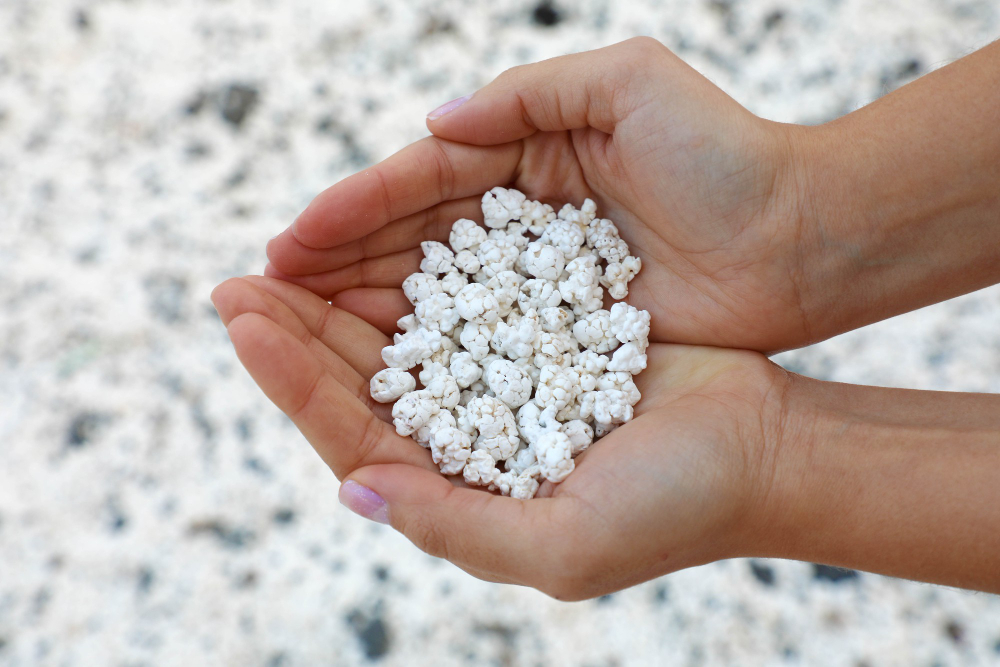 scarti di corallo bianco che sembrano popcorn a playa de majanicho fuerteventura