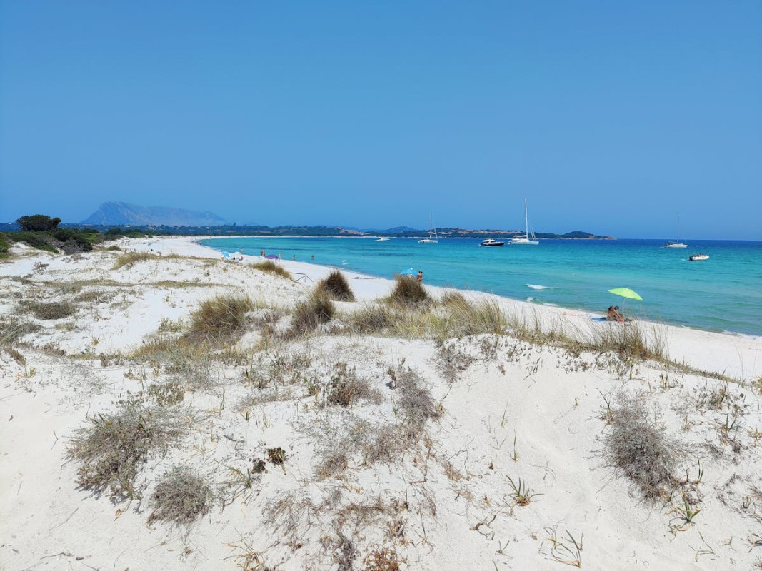 scenic view of cala brandinchi beach in sardinia 1