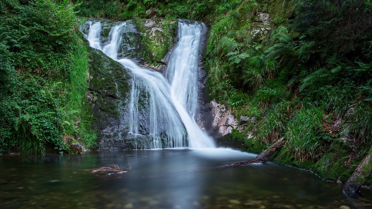 schwarzwald natur landschaft