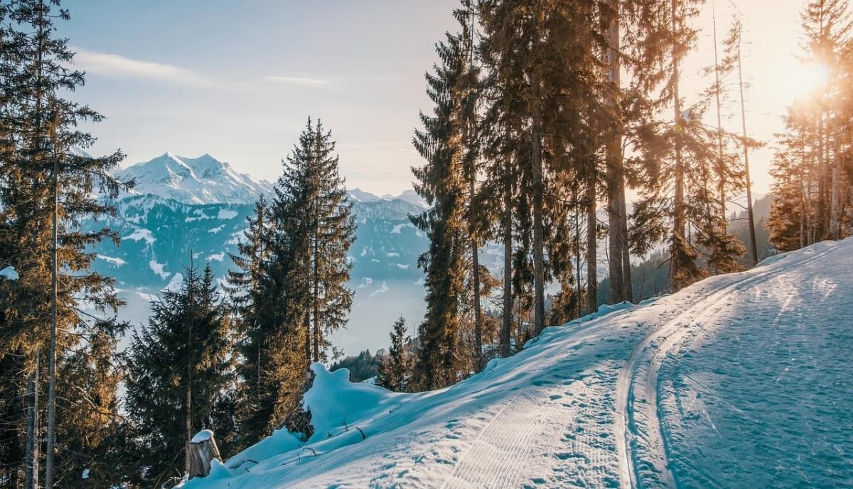 sci madonna di campiglio