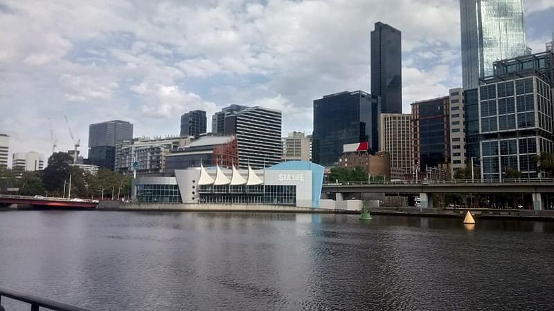 sea life aquarium melbourne 1